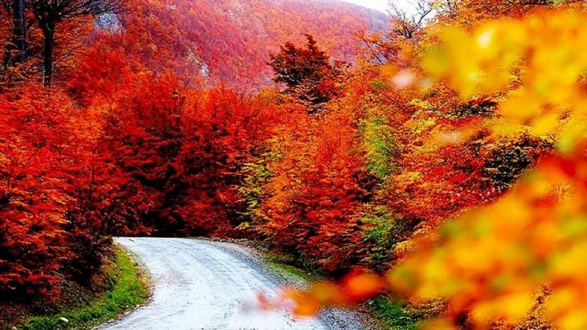 Este es el destino escondido en la Patagonia que enamora a quienes lo visitan