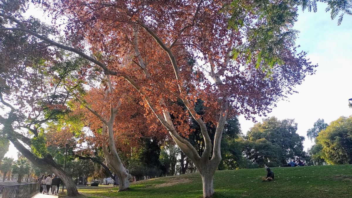 Viernes no laborable con una máxima de 14 °C