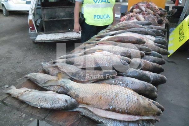 Secuestraron más de 190 pescados de distintas especies y armas de fuego