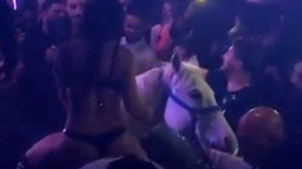 Semidesnuda y a caballo en ¿una discoteca?