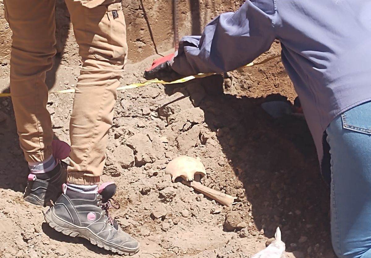 Los restos óseos encontrados en Valle Fértil fueron trasladados para su estudio