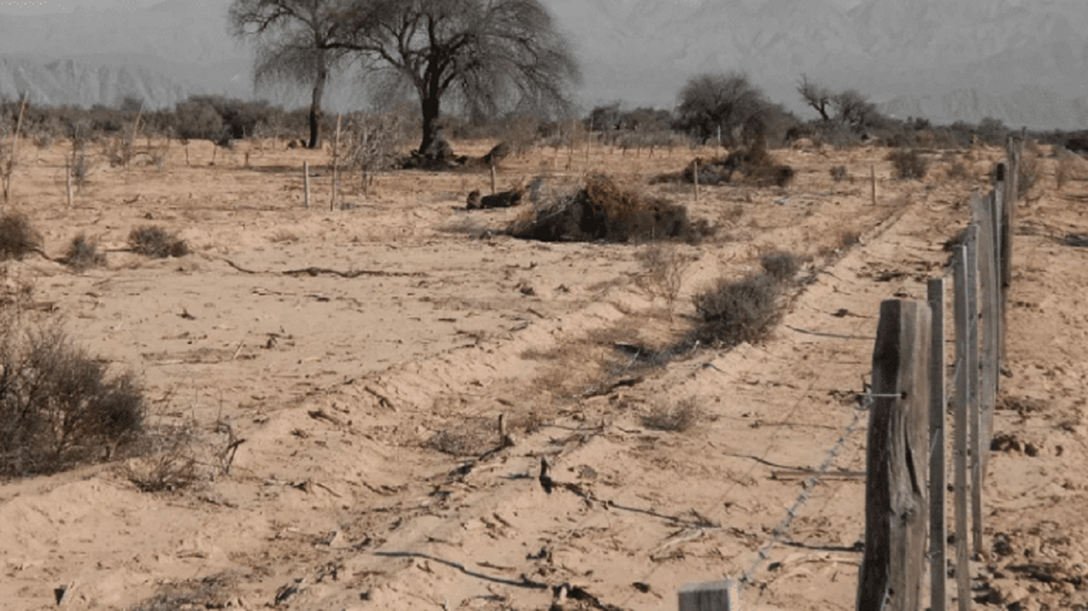 San Luis: decretaron el estado de emergencia hídrica