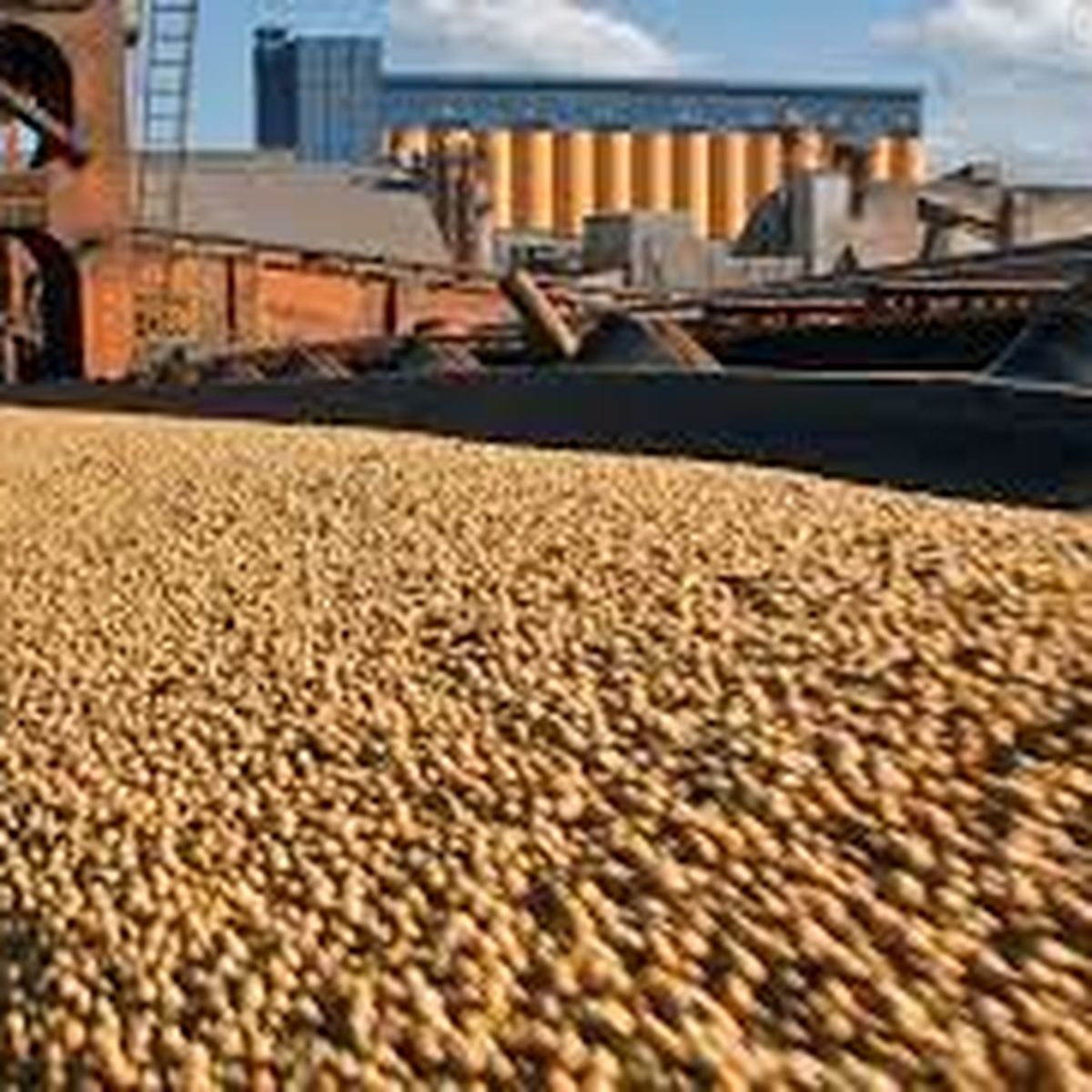 Determinaron el cierre de las exportaciones de harina y aceite de soja