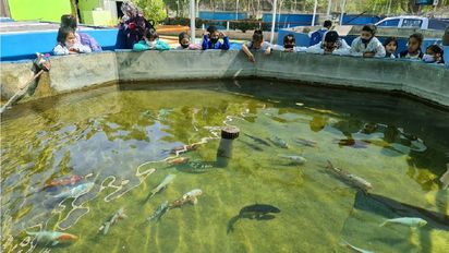Canjeá botellas plásticas por entradas al Parque de la Biodiversidad y Anchipurac