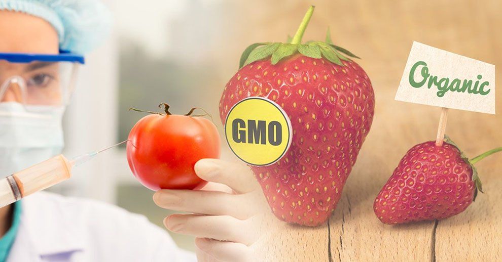 Maneras sencillas de distinguir los alimentos transgénicos de los normales Maneras sencillas de distinguir los alimentos transgénicos de los normales