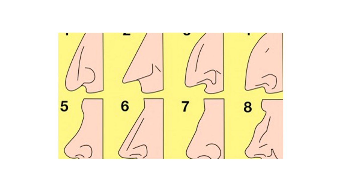 La forma de tu nariz puede decir algo sobre la personalidad
