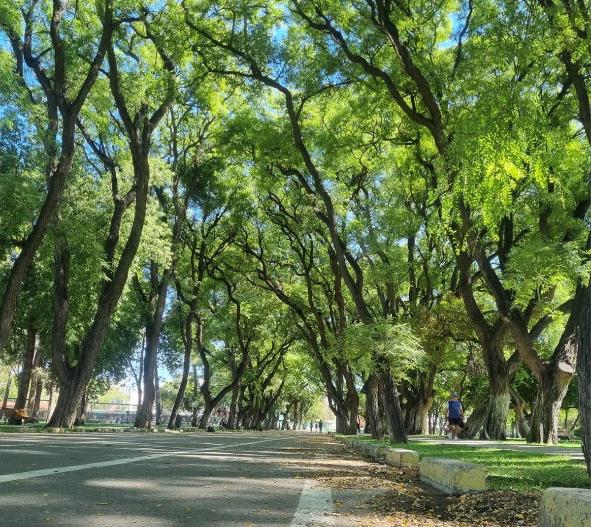 Sol pleno y temperaturas agradables: arranca una semana con clima ideal