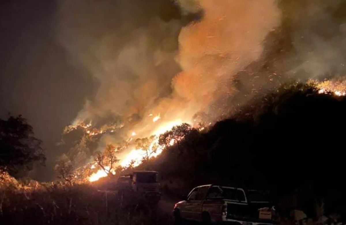 El intendente de Valle Fértil aseguró que el fuego alcanzó 10 mil hectáreas