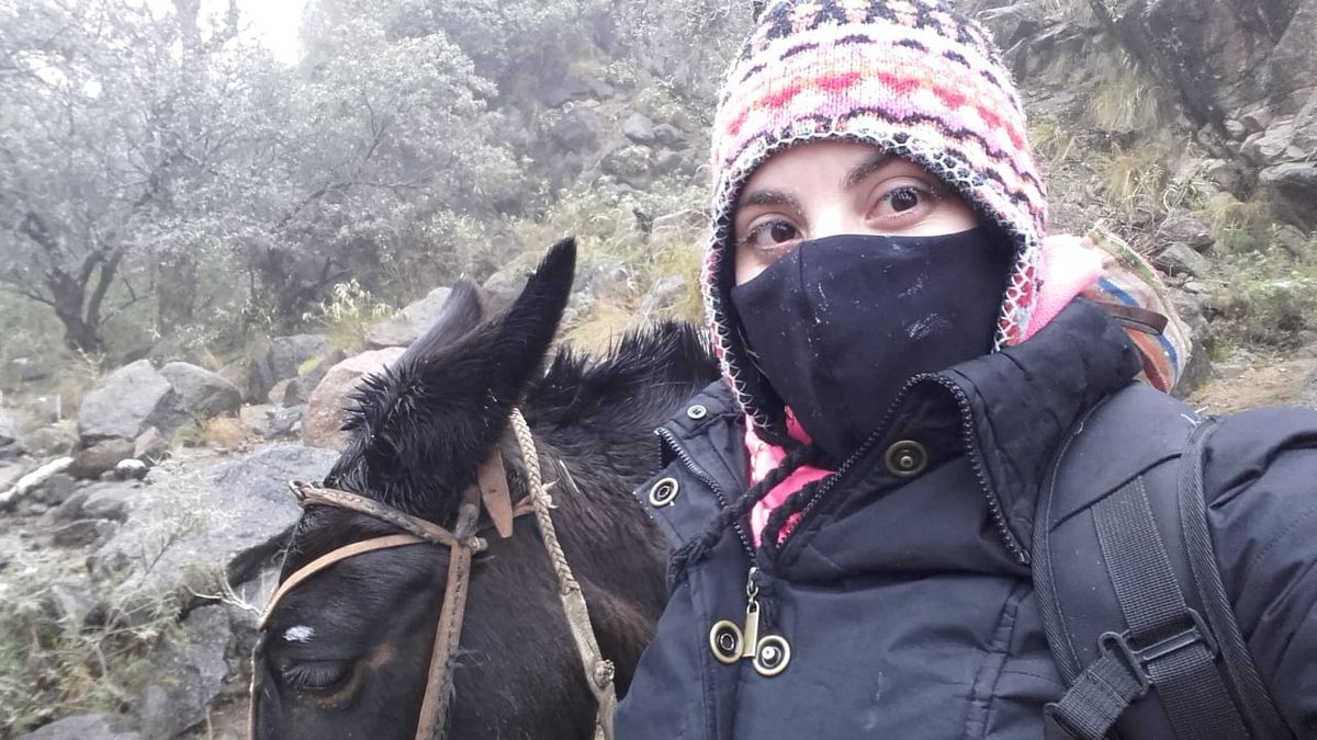 Viral: Docentes en mula en medio de la nieve, un reconocimiento a la vocación