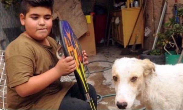 Tiene 9 años y puso en venta su patineta para ayudar a un perro