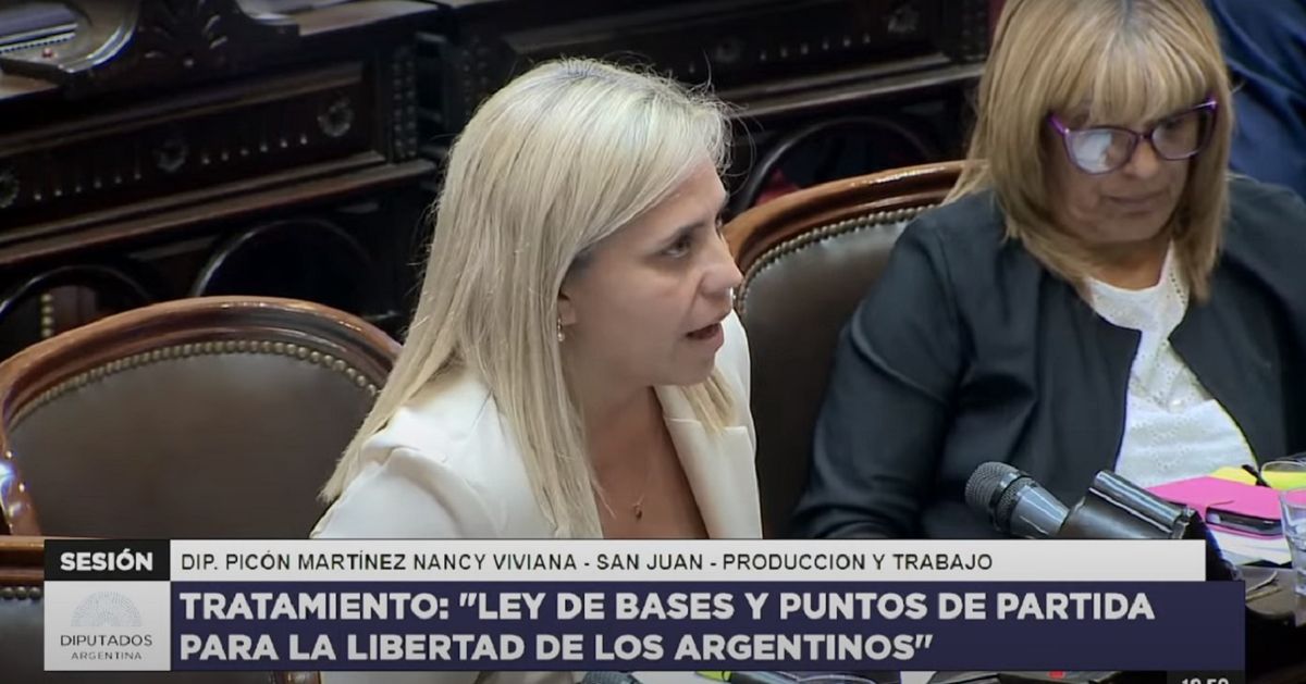 Nancy Picón: Hemos acompañado en general la Ley de Bases