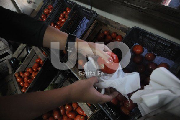 El precio del cajón de tomate se duplicó en los últimos días y se vende a $18,90