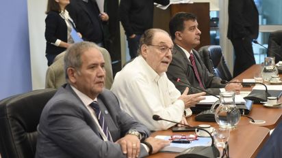 Foto: Parlamentario.com