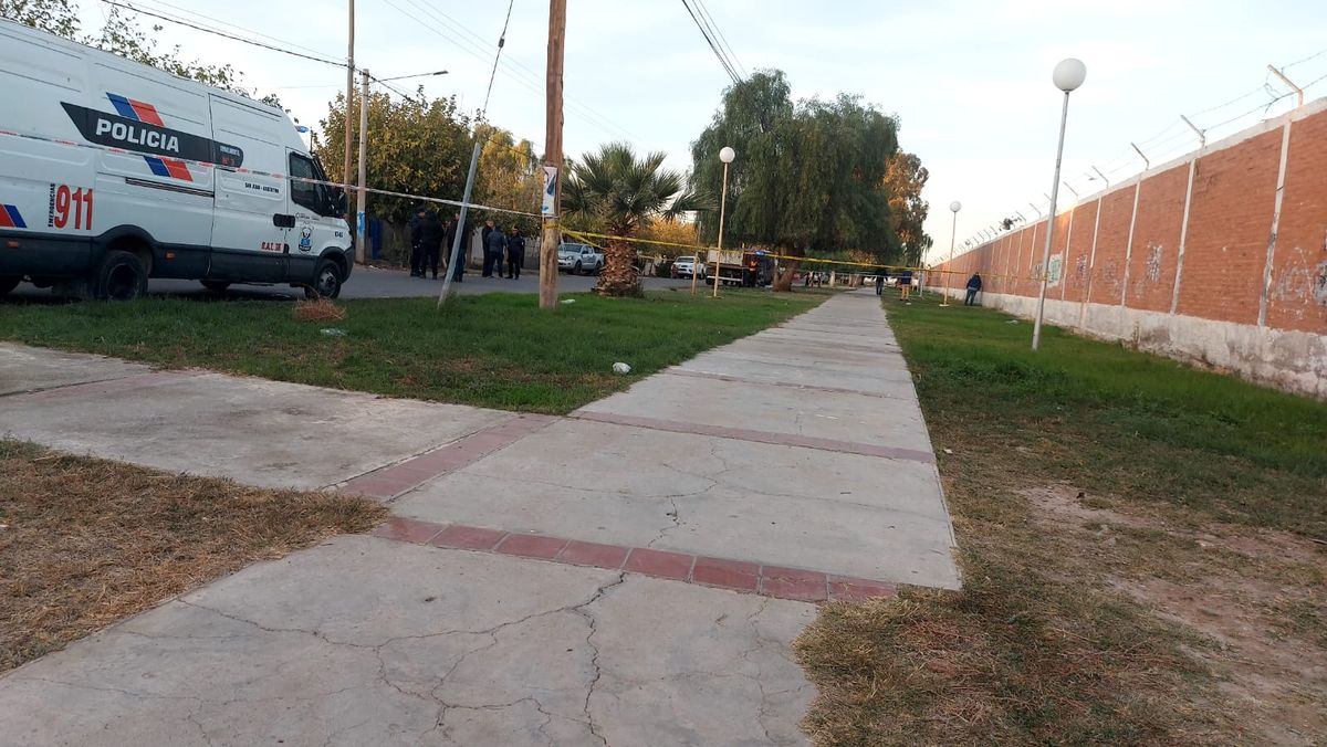 Un disparo en la sien y a pocos metros pruebas que sostendrían el Un disparo en la sien y a pocos metros pruebas que sostendrían el