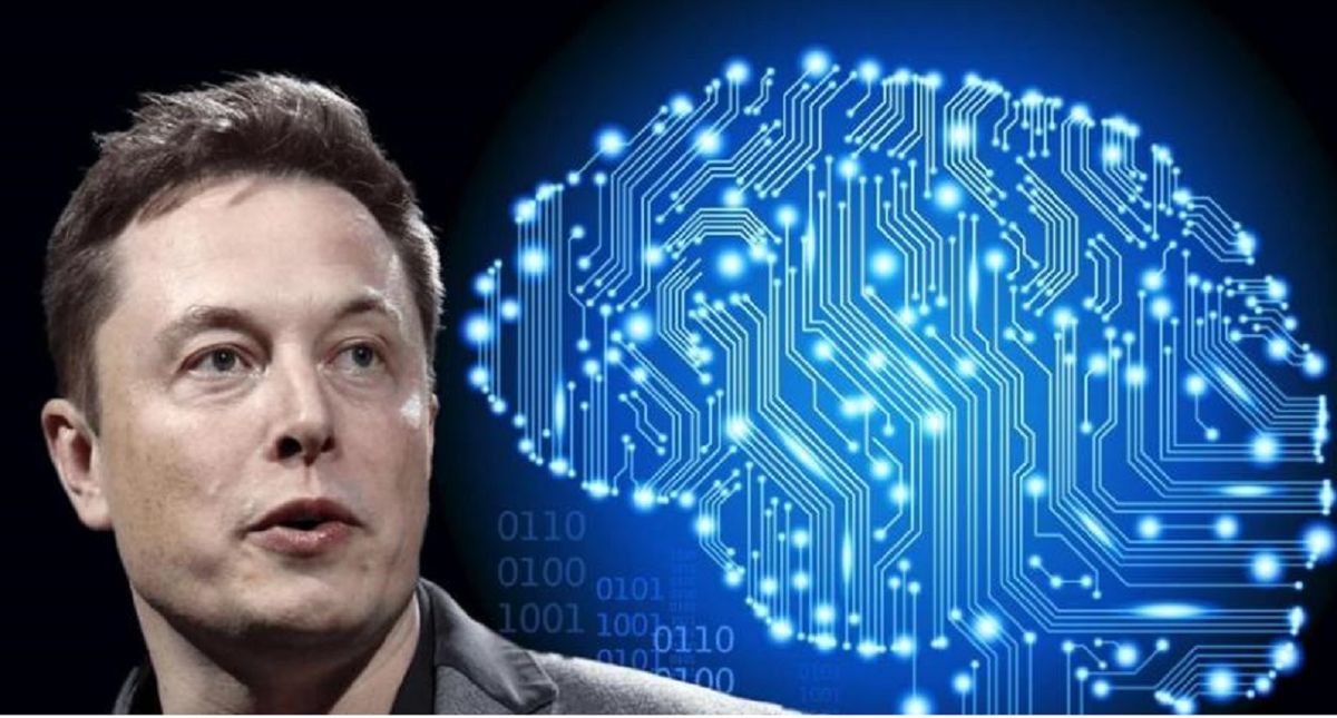 Elon Musk probará chips en cerebros humanos