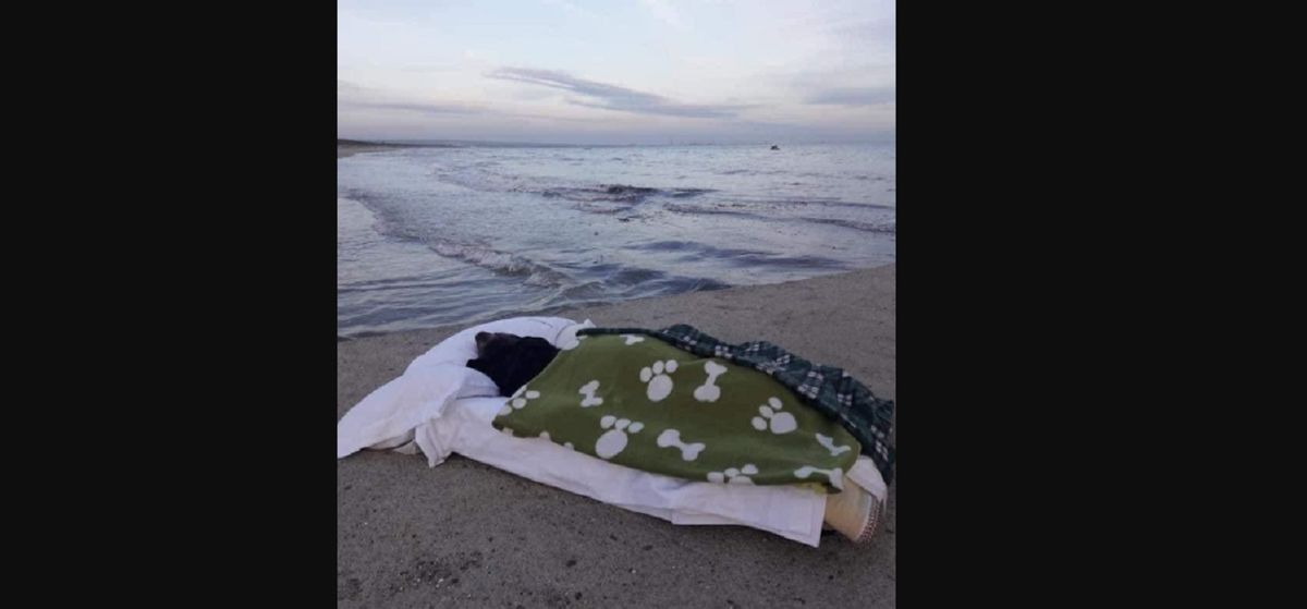 Conmovedor: llevó a su perra a la playa para que vea el mar antes de morir
