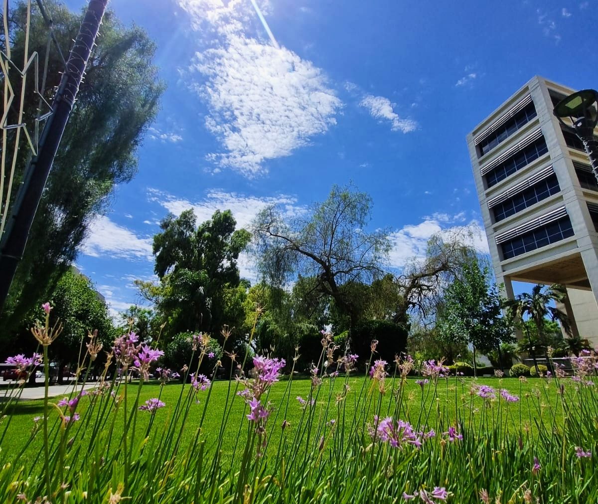 Últimos días de verano con calor intenso: el otoño se acerca con cambios climáticos