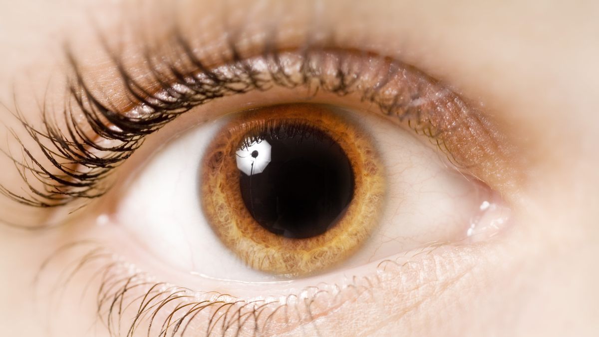 La importancia del masaje en los ojos