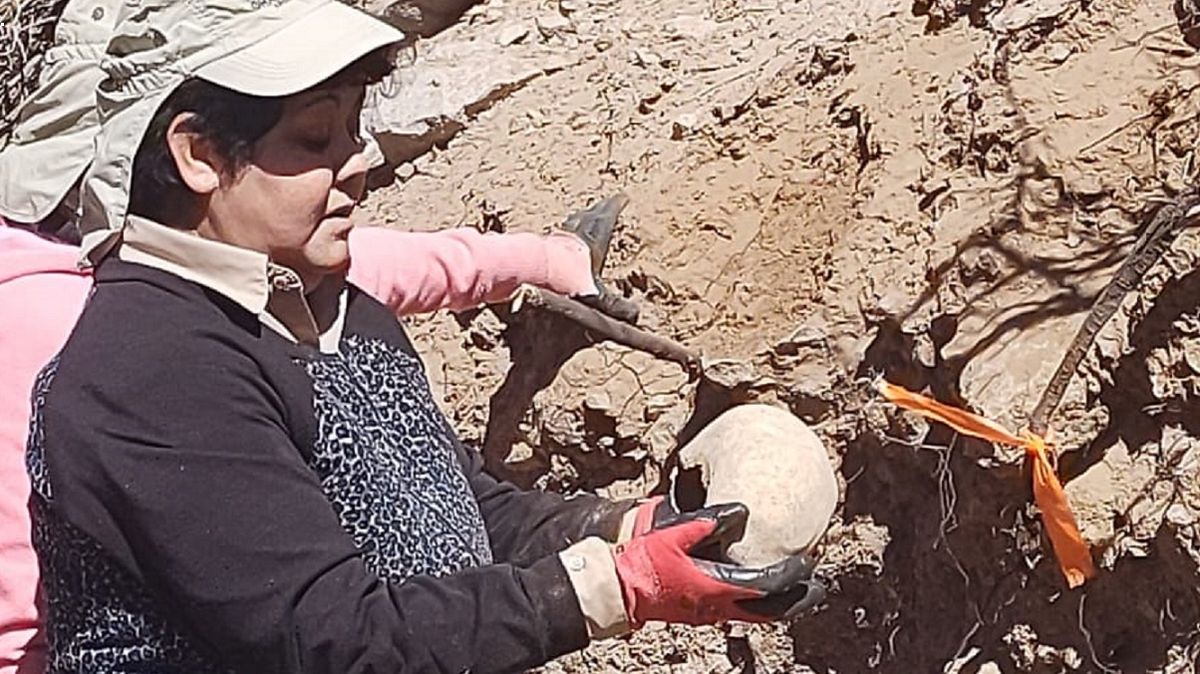 Hallaron restos óseos de culturas indígenas en Barreal