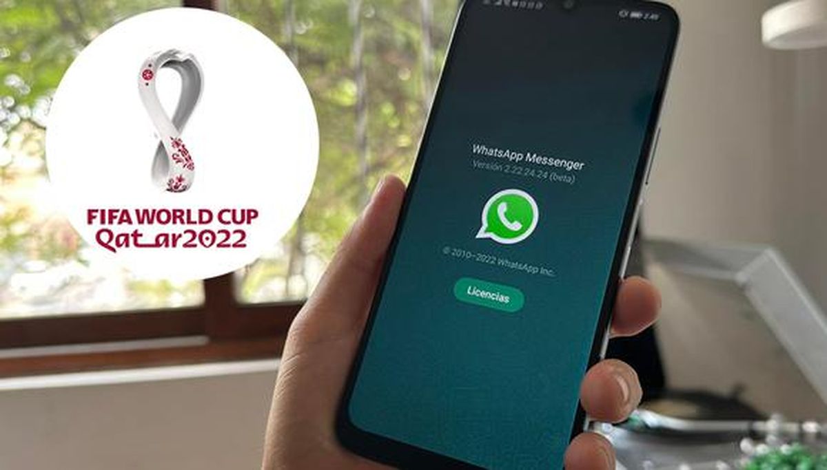 Mundial de Qatar: podés seguir todos los partidos por WhatsApp