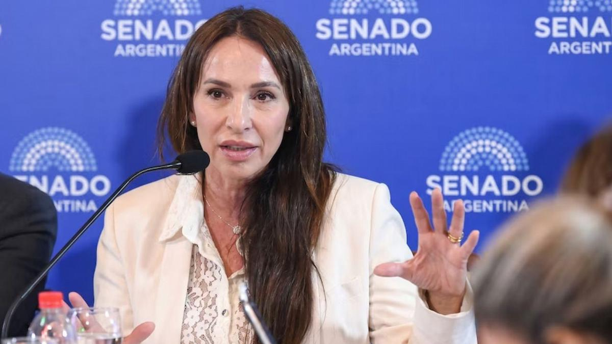 El Senado aprobó el pliego de la jueza Michelli: Bullrich se abstuvo de votar