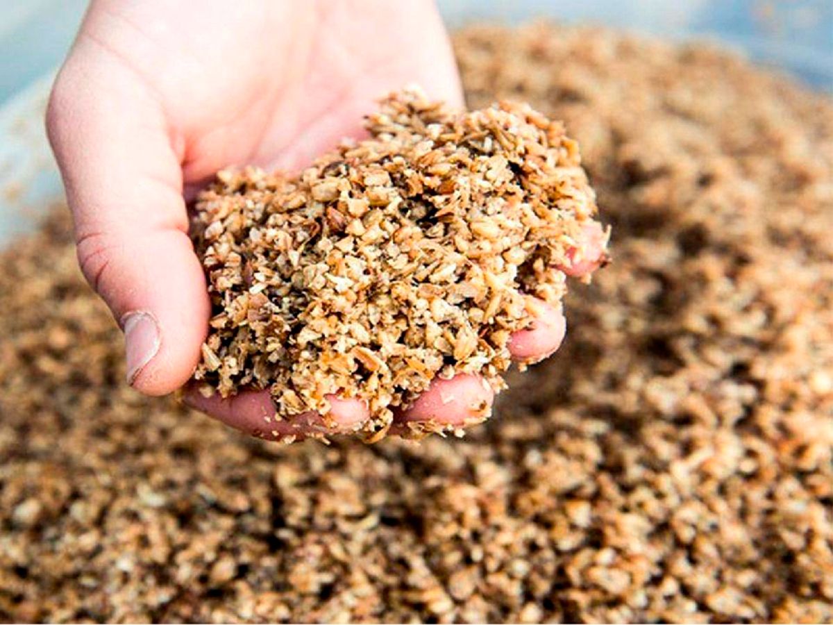 Investigadoras de Ingeniería producirán una harina rica en fibras y proteínas