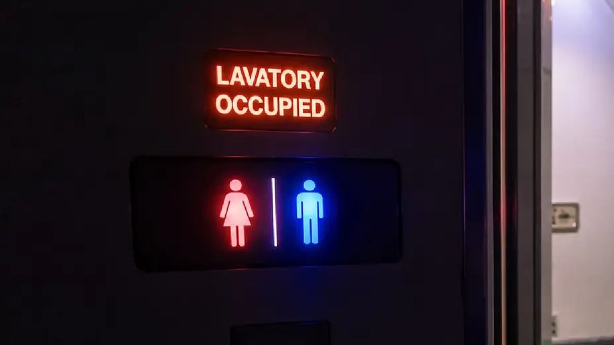 ¿Cuál es la multa o penalidad por tener sexo en un avión?