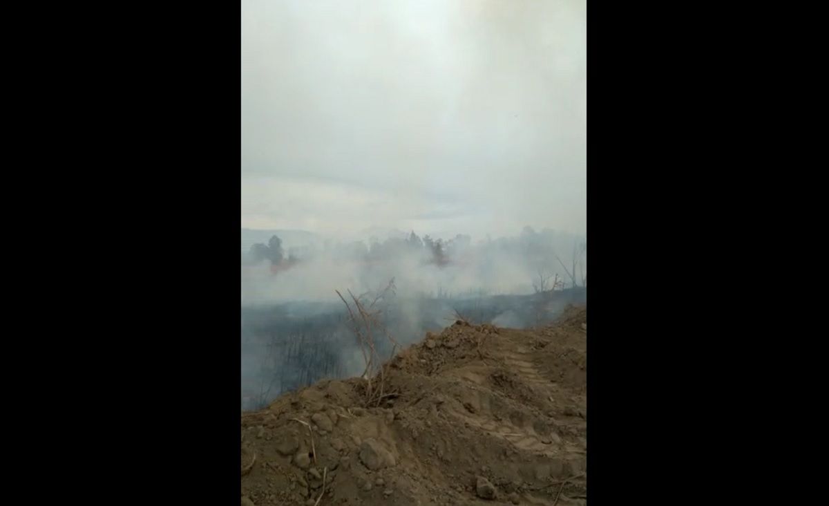 Grave incendio en la reserva natural Parque Sarmiento