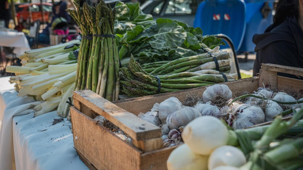 Edición Patria: la Feria Agroproductiva, en el Mercado de Rawson