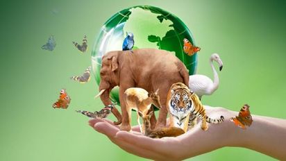 4 de octubre, Día Mundial de los Animales.