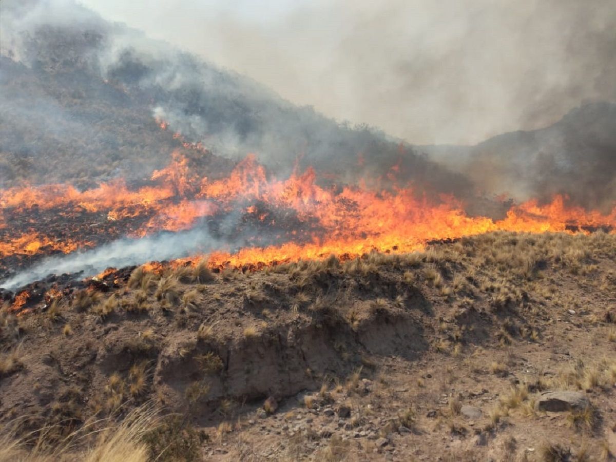 Incendio en Valle Fértil: Cáritas recolectará donaciones hasta el domingo