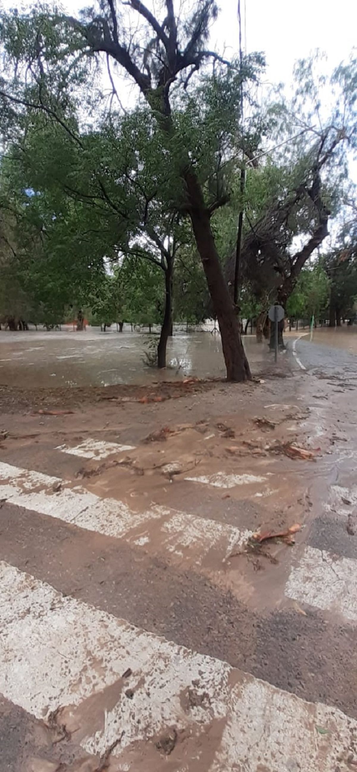 El Jardín de los Poetas fue seriamente afectado por la tormenta