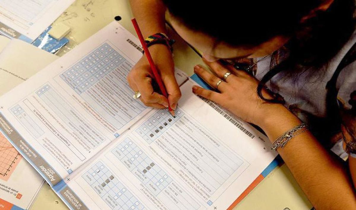 Aprender 2021: cómo serán los exámenes para los alumnos de 6º grado