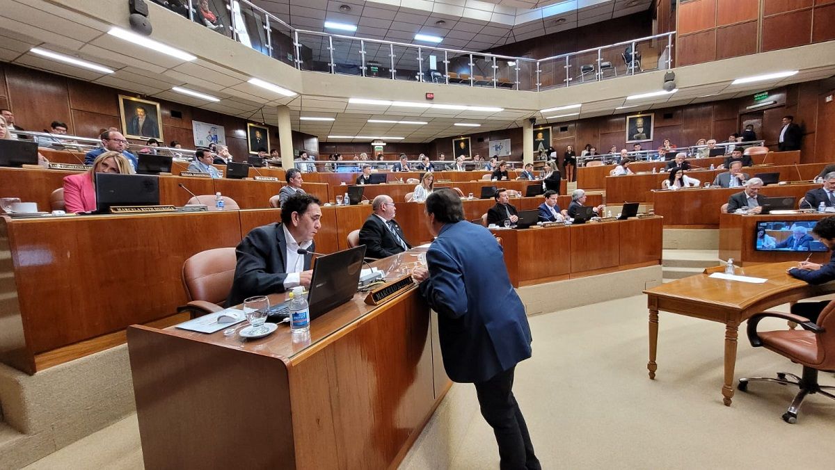 Diputados derogó la ley que impedía reformar el sistema electoral (Fotos: sj8)