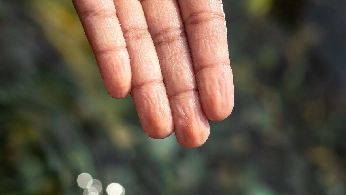Por qué se arrugan las yemas de los dedos al ponerlas en remojo