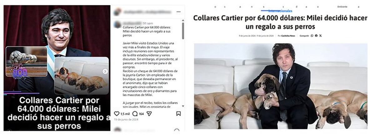 Capturas de pantalla de publicaciones digitales que muestran graffitis y una pancarta con contenidos de la Compa&ntilde;&iacute;a contra Ucrania y Milei &nbsp;