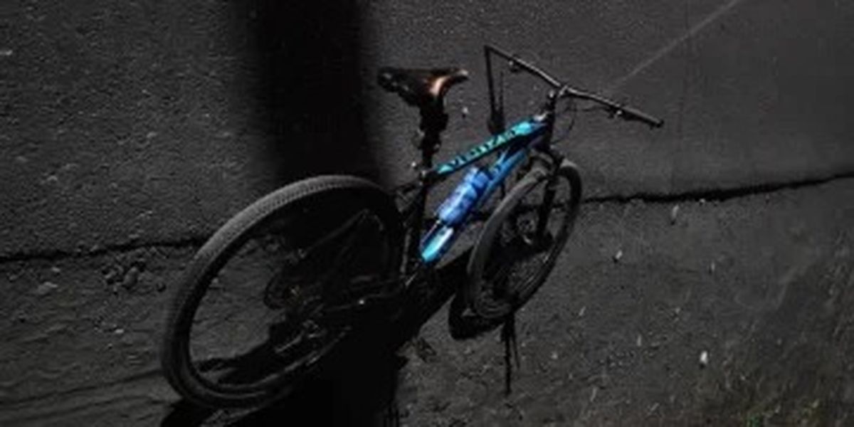 Un ciclista murió tras ser atropellado por un colectivo de larga distancia