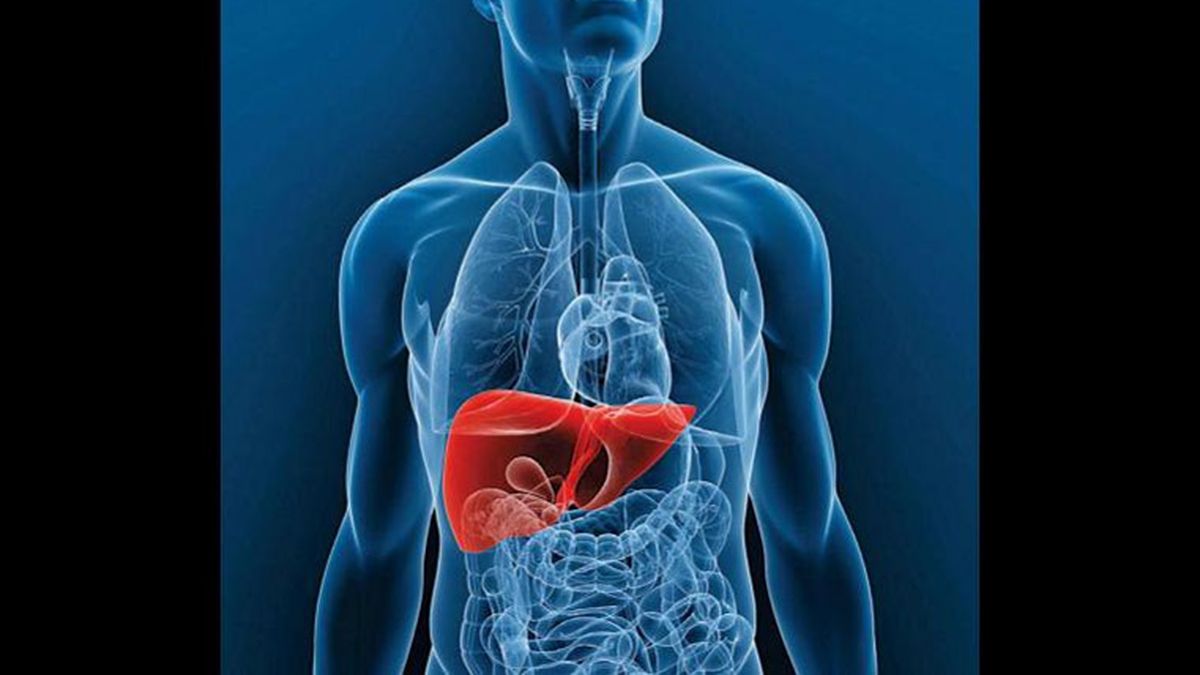 Reconocé Los Cuatro Síntomas Que Indican Que Tu Hígado Está Inflamado 2626