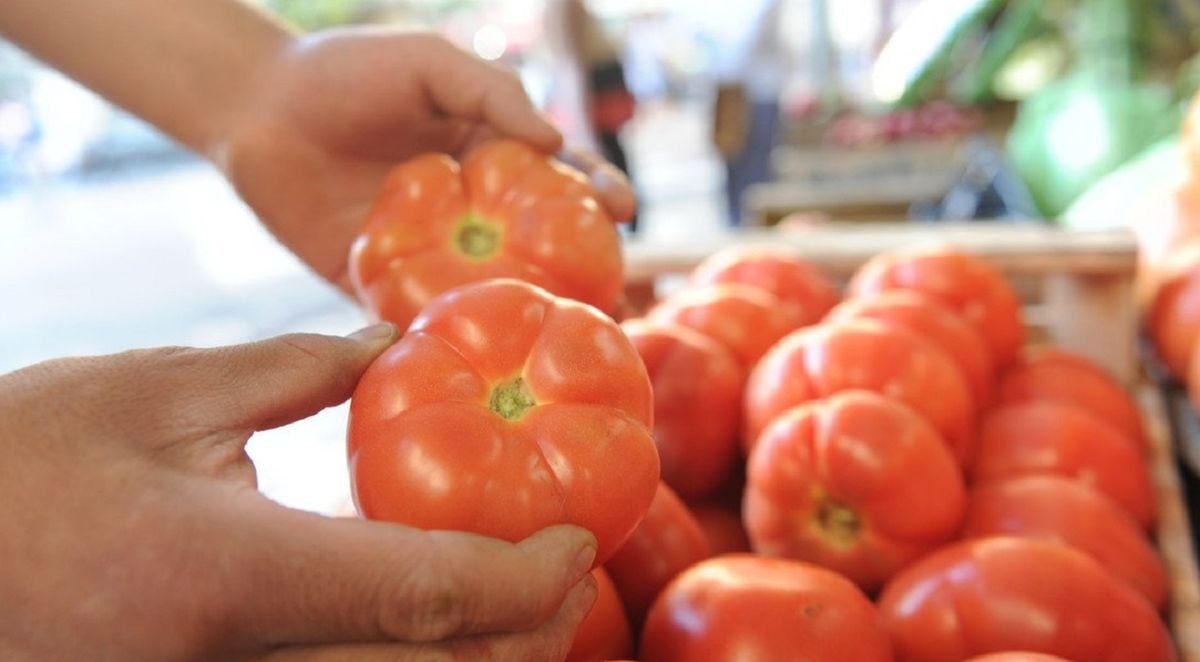 La feria de Capital ofrece el tomate desde $100 el kilo