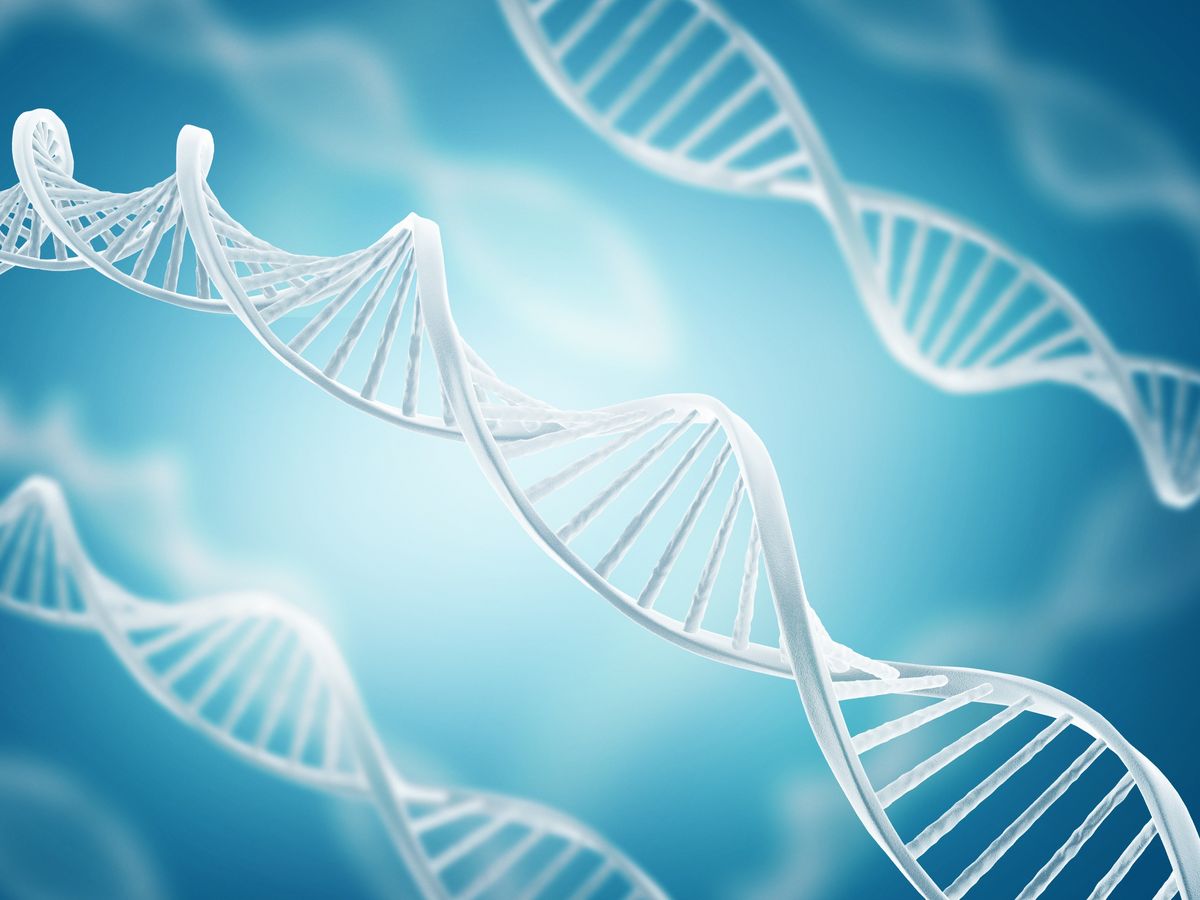 Se hizo un ADN para saber sobre sus antepasados y descubrió una estafa