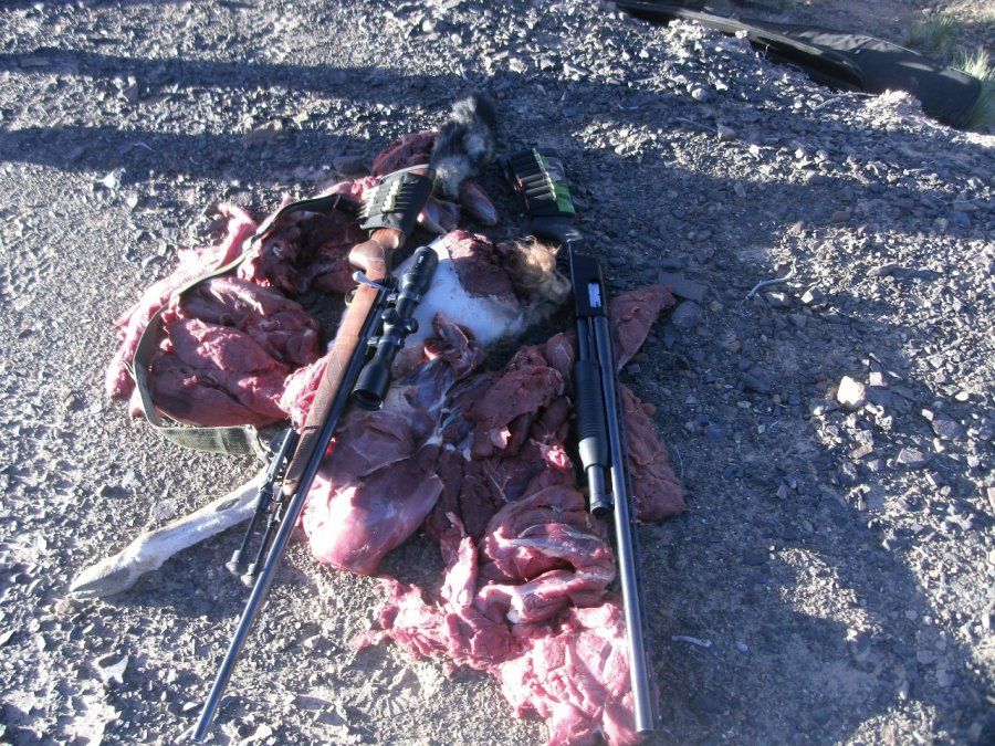 Decomisaron armas y restos de guanaco de una camioneta que realizaba caza furtiva