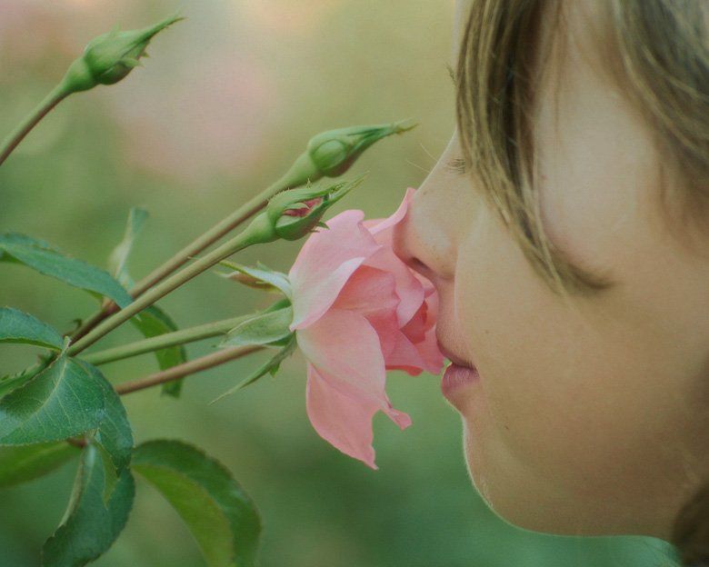 ¿Cuáles son los 10 olores básicos que reconoce el olfato?