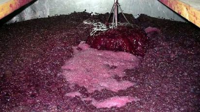 San Juan es uno de los referentes del mosto en Argentina.