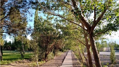 Después de la tormenta, la máxima llegará a los 35°C