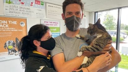 Una pareja se reencontró con su gato tras estar perdido durante 10 años