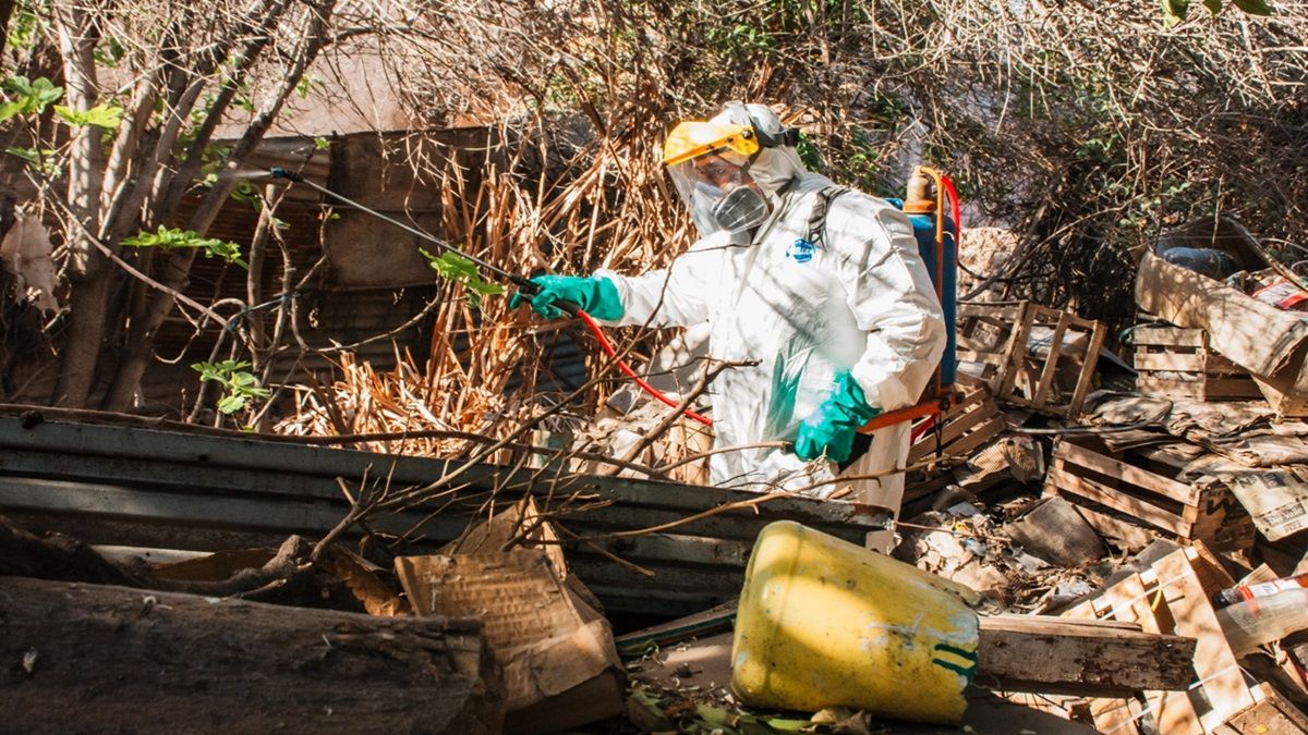 San Juan refuerza medidas ante el aumento del mosquito Aedes Aegypti