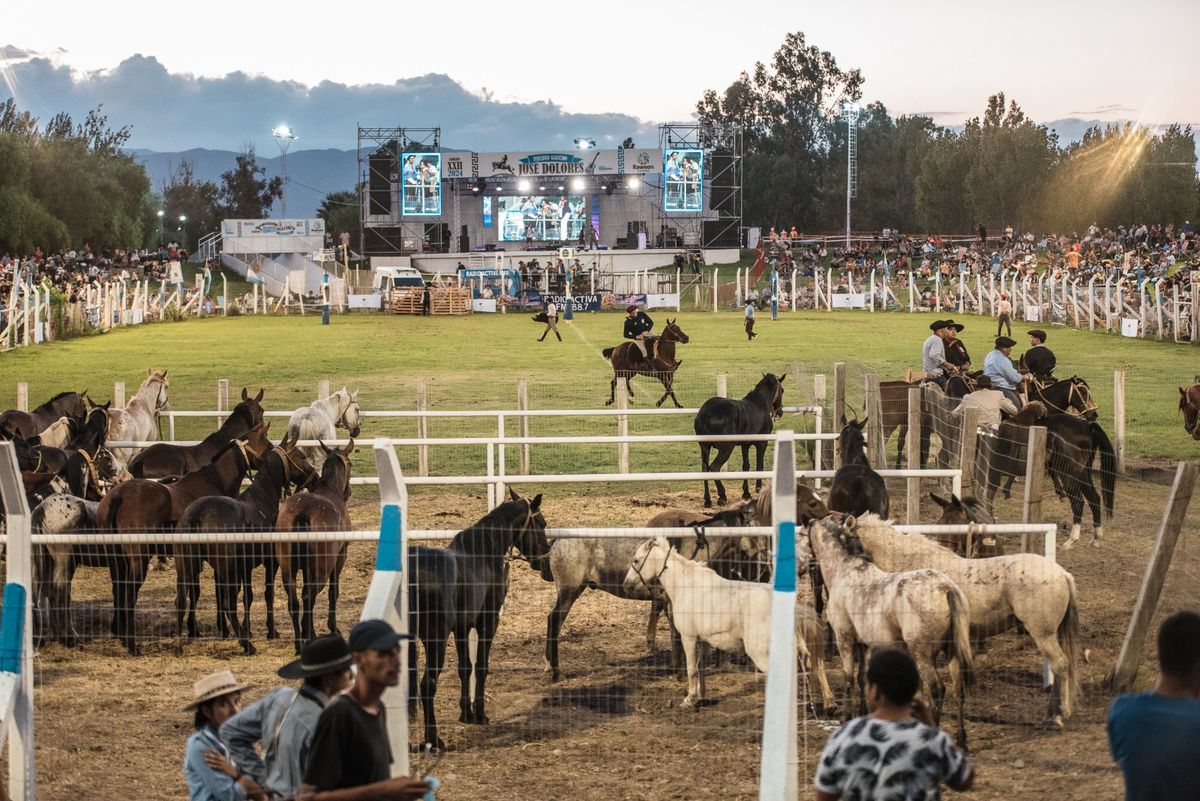 Los detalles de la XXIII Fiesta Nacional de las Destrezas Criollas y el Folklore