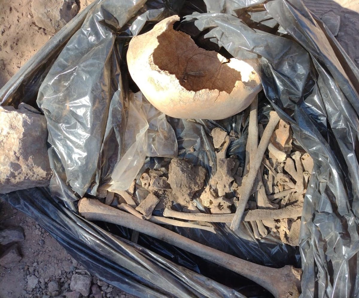 Hallaron restos óseos de culturas indígenas en Barreal
