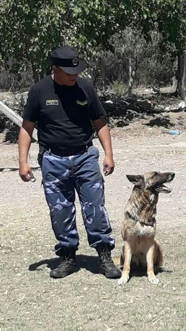 están extintos los perros de agua de san juan