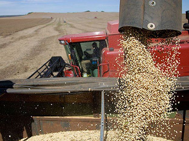 Habrá soja para China pero no hay garantía de trigo en Argentina
